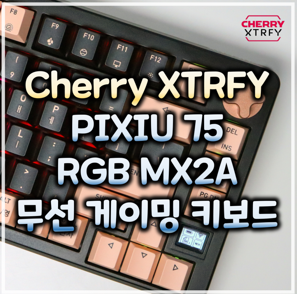 퀘이사존