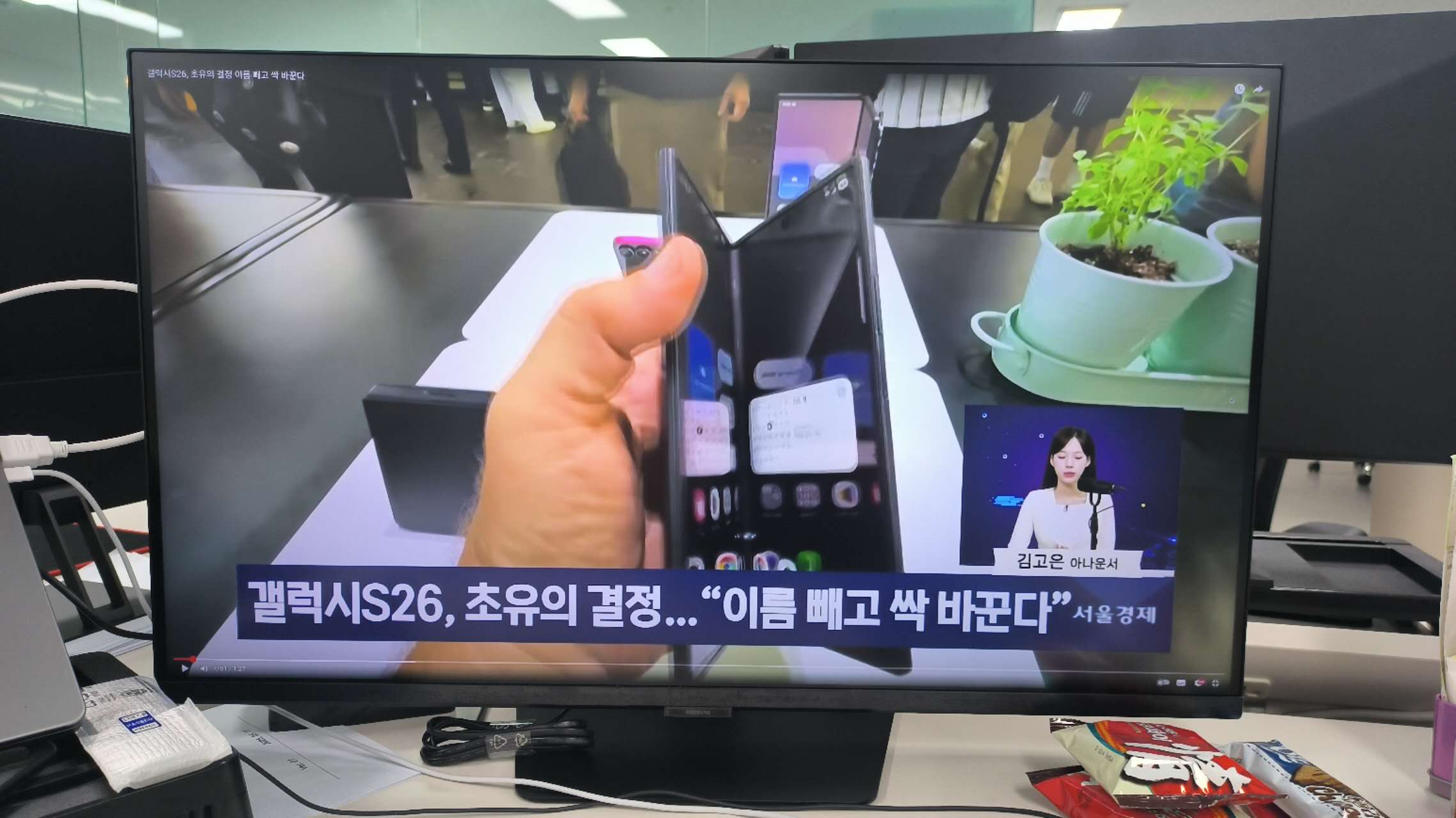 퀘이사존