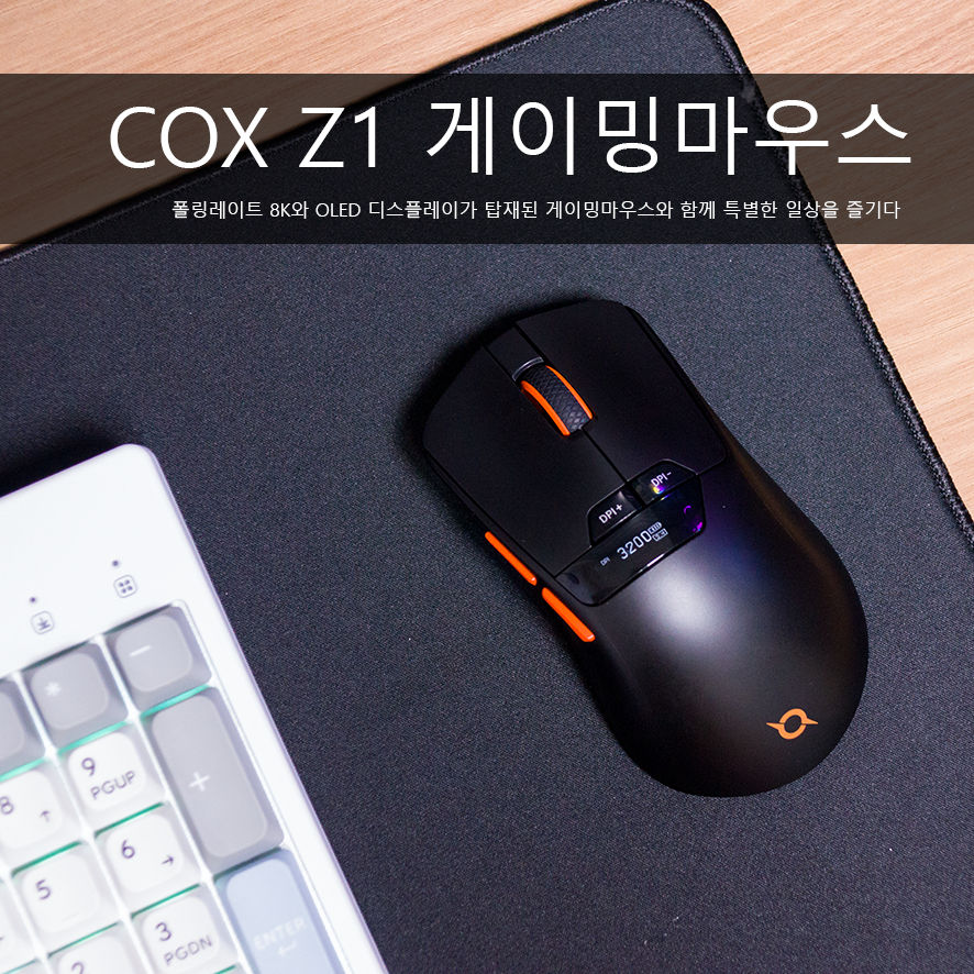 퀘이사존