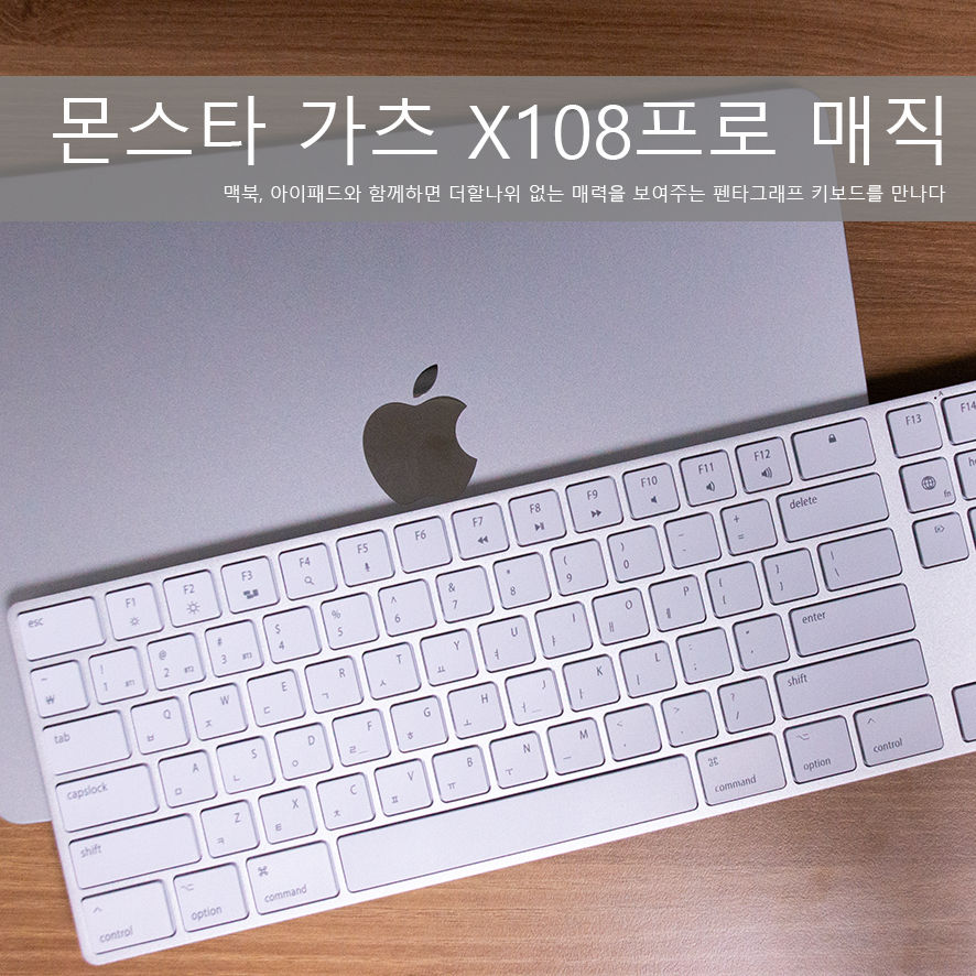 퀘이사존
