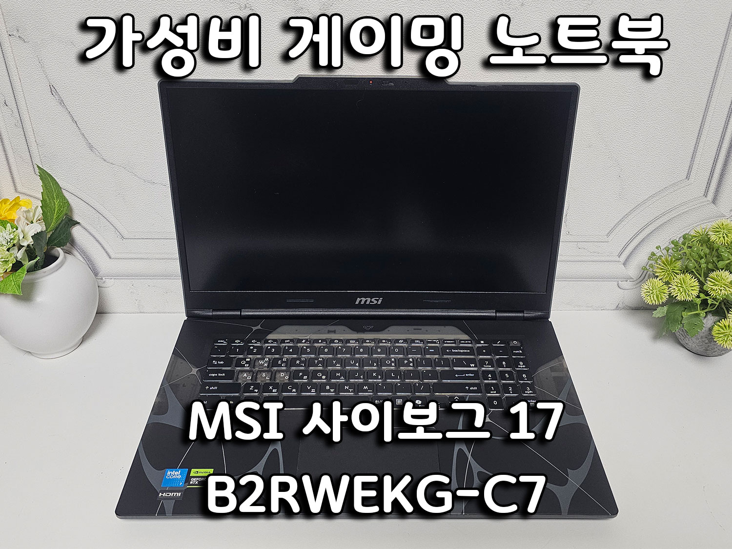 퀘이사존