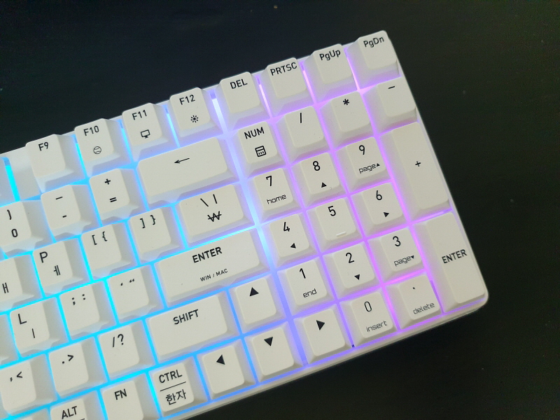 퀘이사존