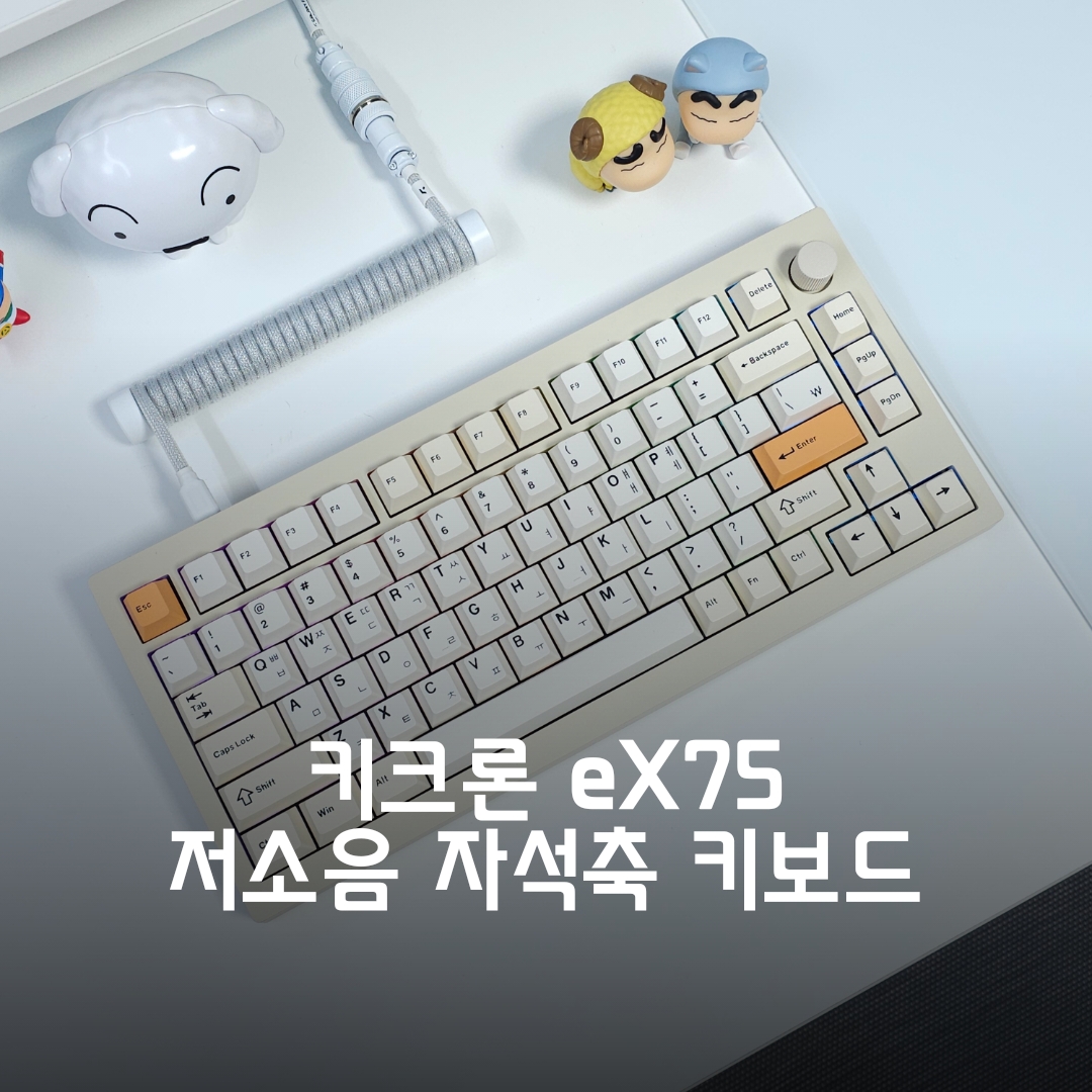 퀘이사존