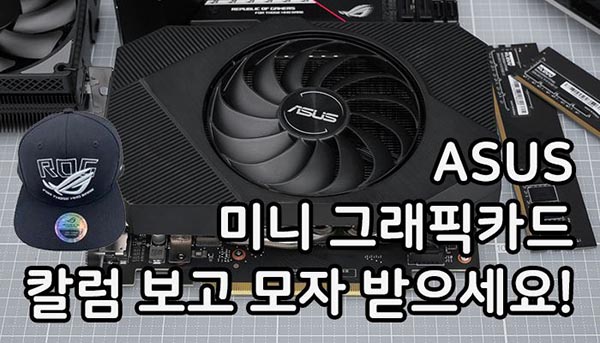 퀘이사존