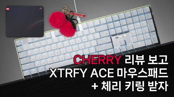 퀘이사존