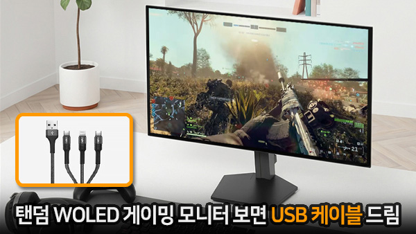 퀘이사존