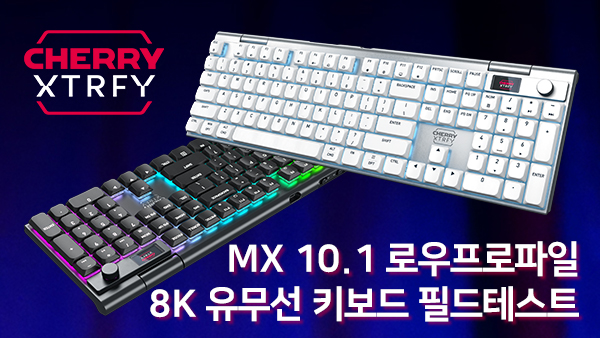 퀘이사존