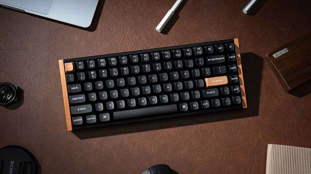 퀘이사존
