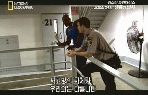 퀘이사존