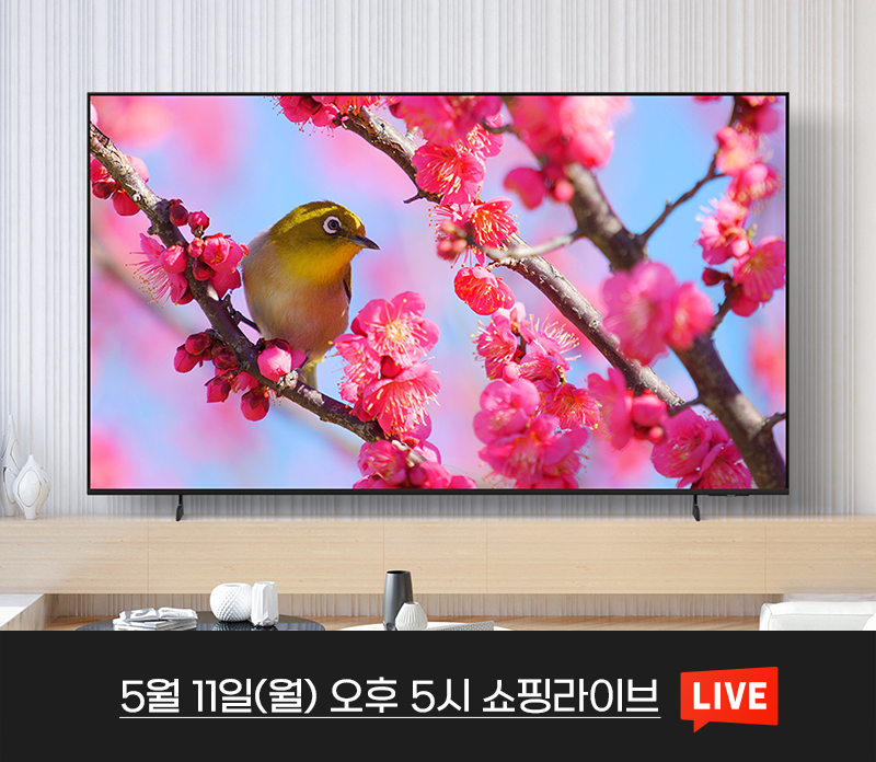 퀘이사존