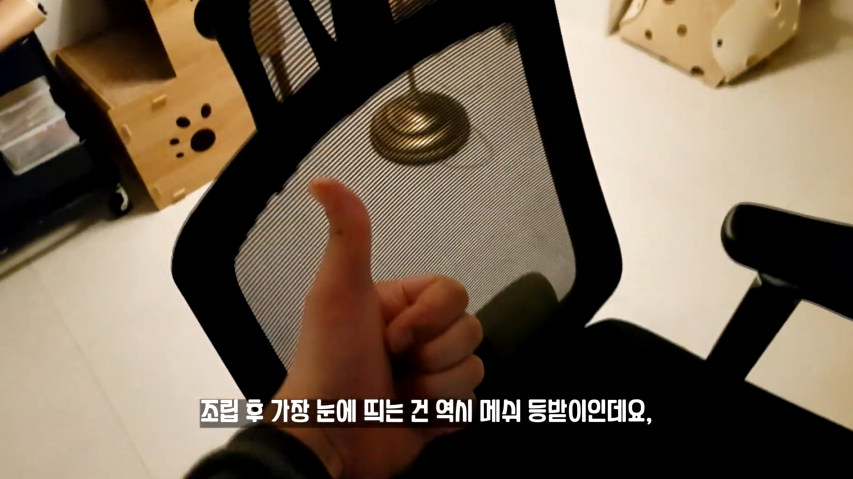 퀘이사존
